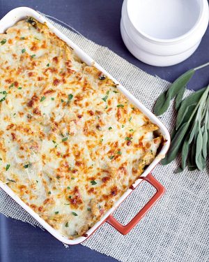 Four Cheese Pumpkin Pasta Bake - This Gal Cooks