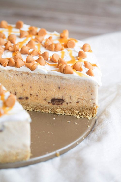 Pumpkin Spice Nutella Swirl Ice Cream Pie - This Gal Cooks