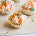 Buffalo Chicken Salad Cups - This Gal Cooks