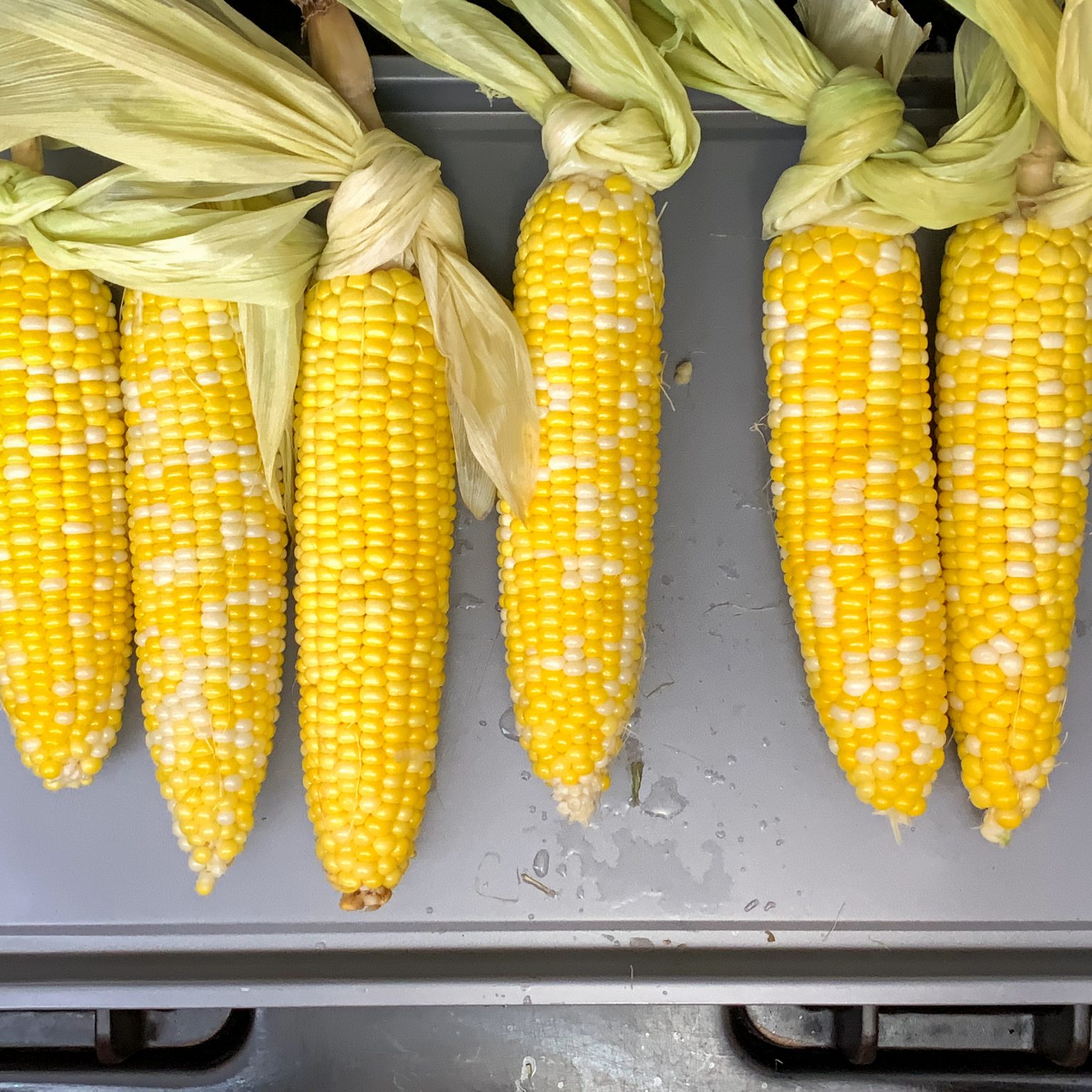 The Perfect OvenRoasted Corn On The Cob Recipe This Gal Cooks