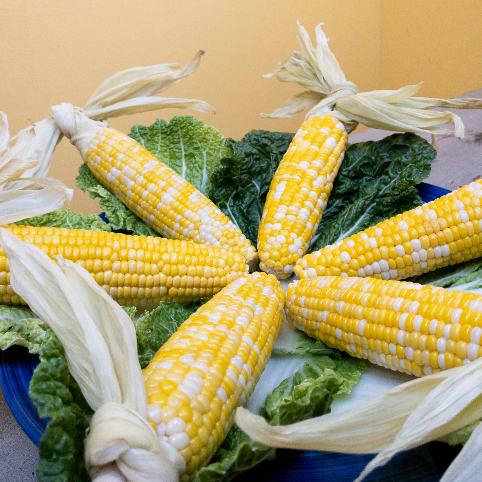 The Perfect Oven Roasted Corn On The Cob Recipe This Gal Cooks 4304