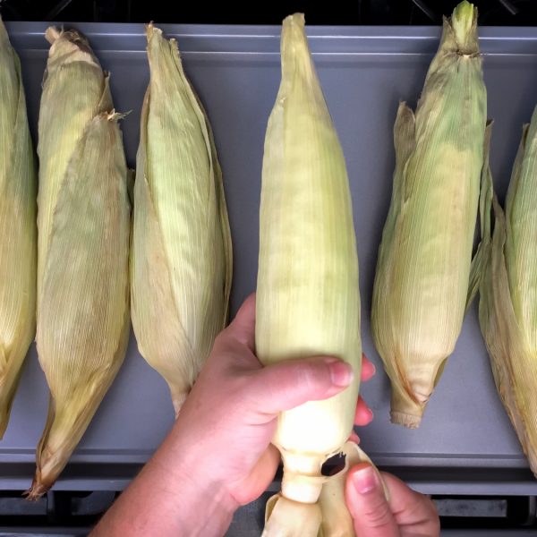tear-off-the-corn-husks
