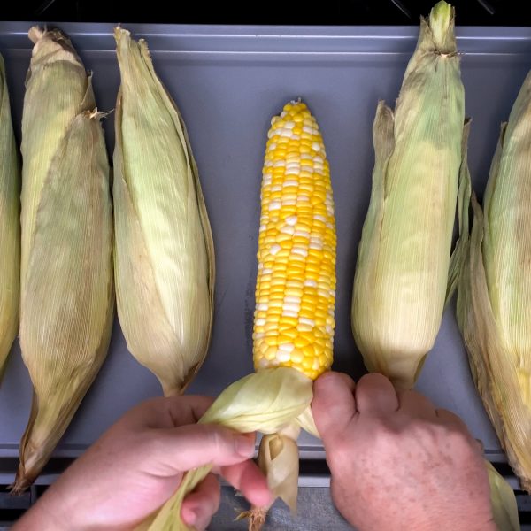 tie-the-corn-husks-with-an-overhand-knot